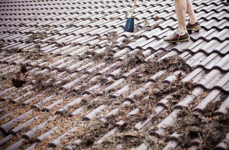 Pine Needle Gutter Cleaning